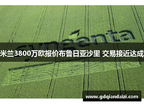 米兰3800万欧报价布鲁日亚沙里 交易接近达成